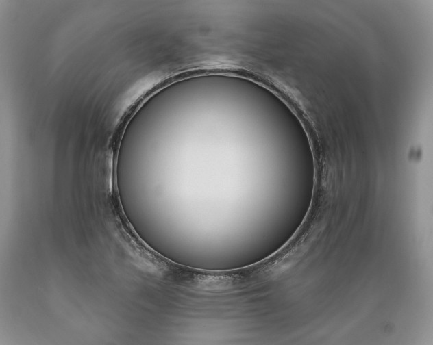 X0000089391171200706221311