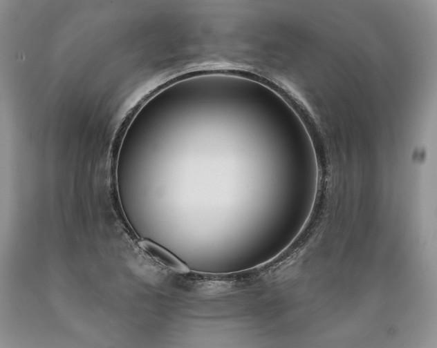 X0000089391173200706221311