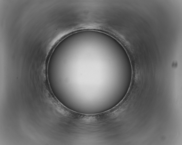 X0000089391174200706221311