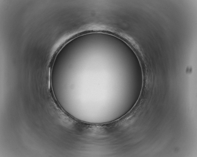 X0000089391175200706221311