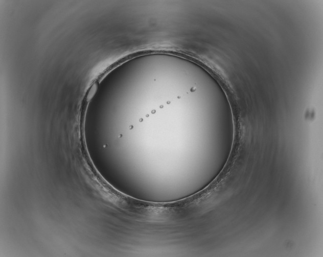 X0000089391176200706221311