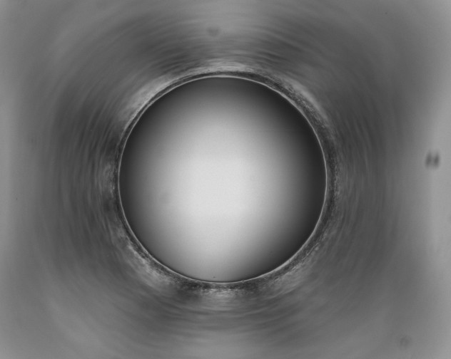 X0000089391177200706221311