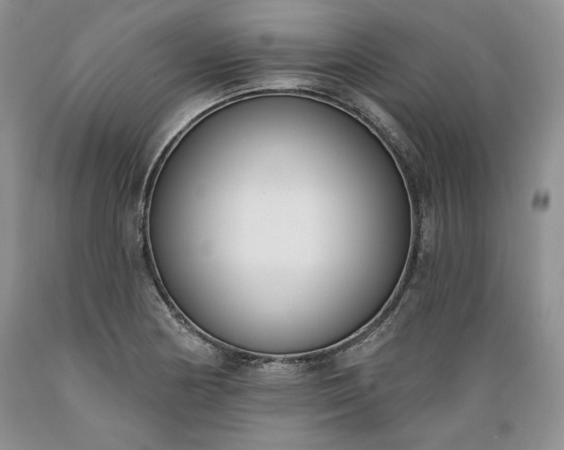 X0000089391178200706221311