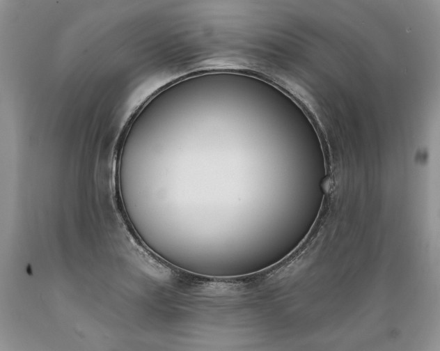 X0000089391179200706221311