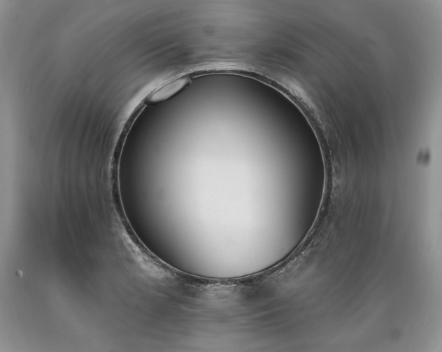 X0000089391181200706221311