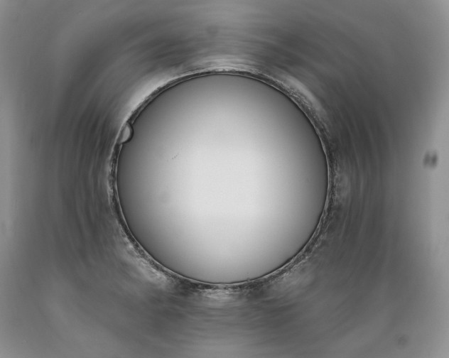 X0000089391182200706221311
