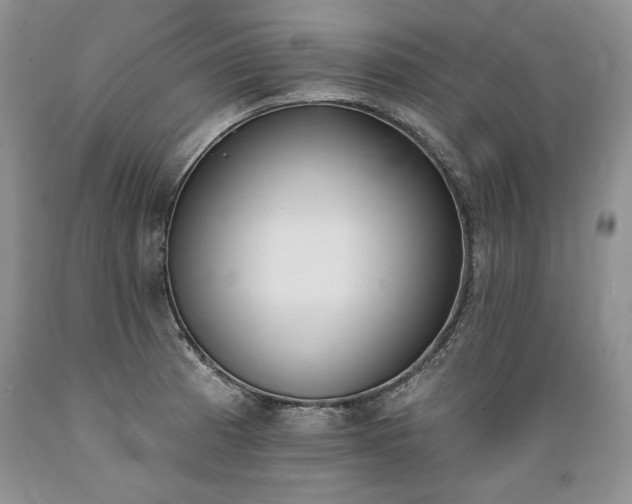 X0000089391185200706221311