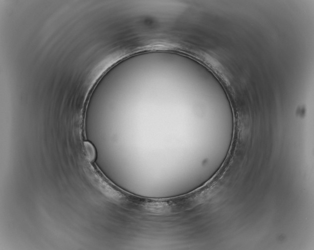 X0000089391186200706221311