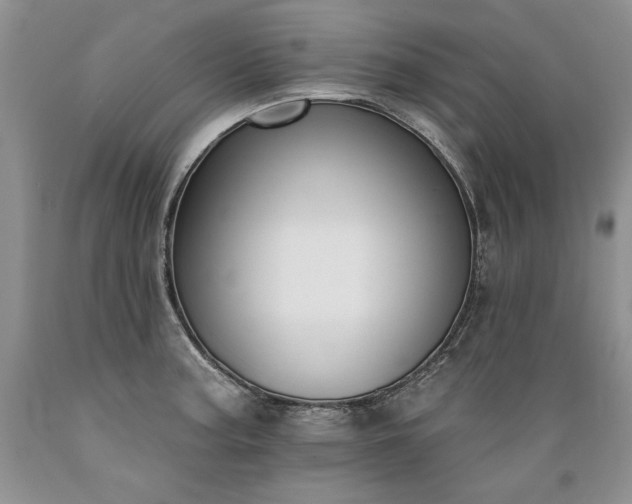 X0000089391187200706221311