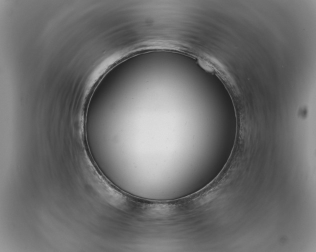 X0000089391188200706221311