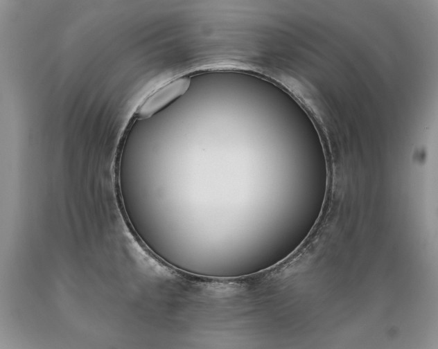 X0000089391189200706221311