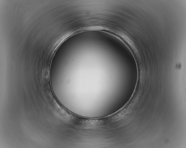 X0000089391193200706221311