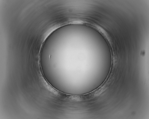 X0000089391194200706221311