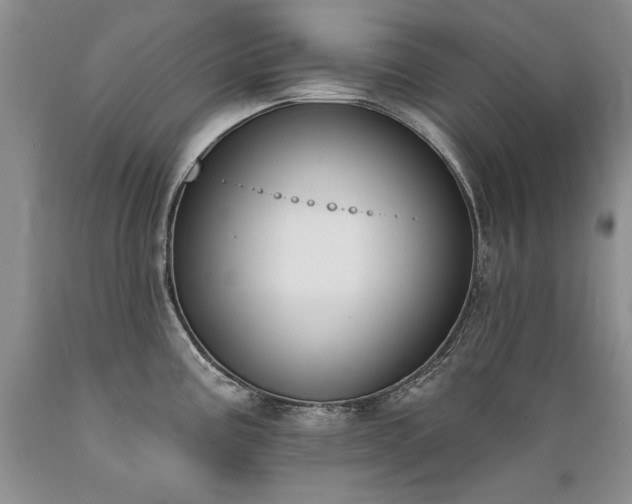 X0000089391195200706221311