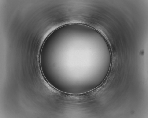 X0000089391197200706221311