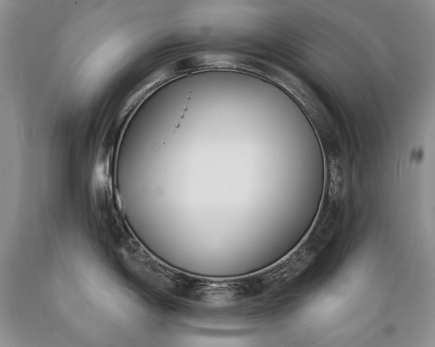 X0000089391198200706221311