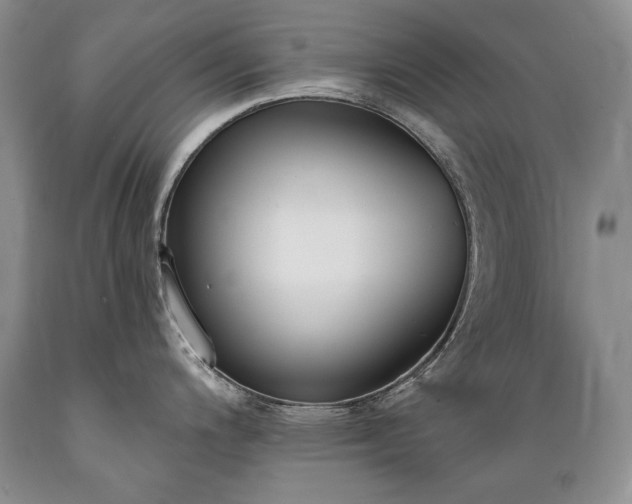 X0000089391200200706221311