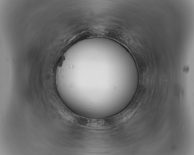 X0000089391201200706221310