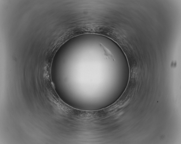 X0000089391202200706221310