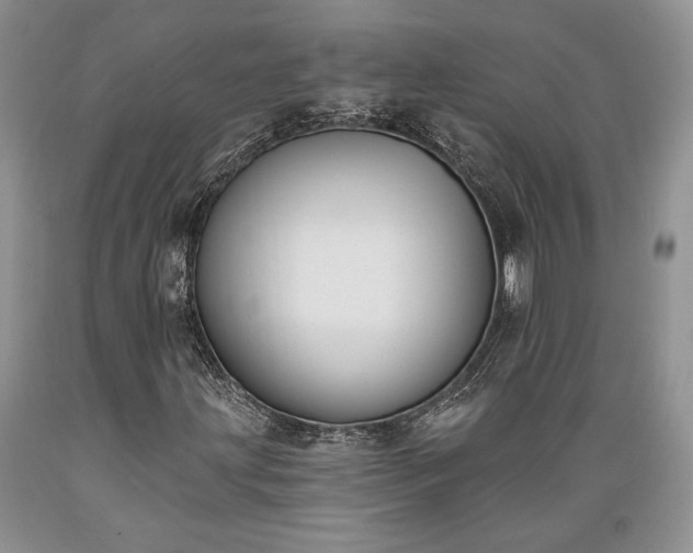 X0000089391203200706221310