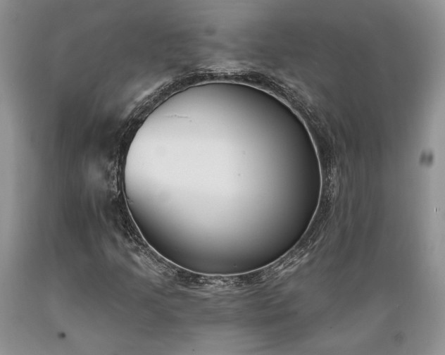 X0000089391205200706221310