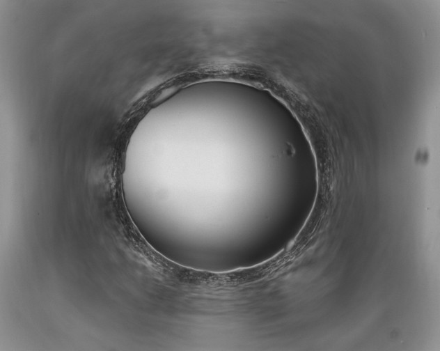 X0000089391206200706221310