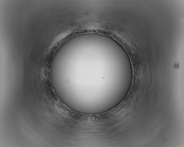 X0000089391207200706221310