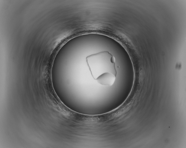 X0000089391210200706221310