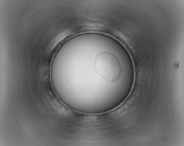 X0000089391211200706221310