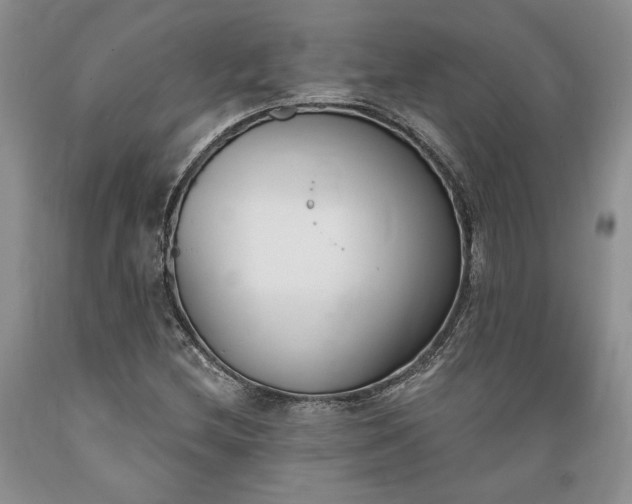 X0000089391212200706221310