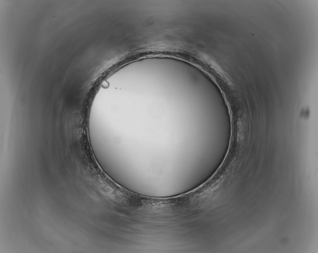 X0000089391213200706221310