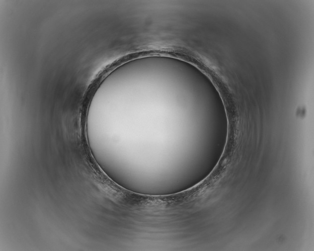 X0000089391214200706221310