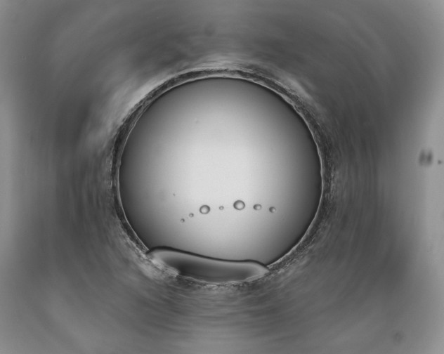 X0000089391216200706221310