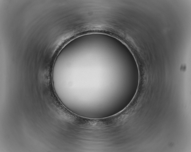 X0000089391218200706221310