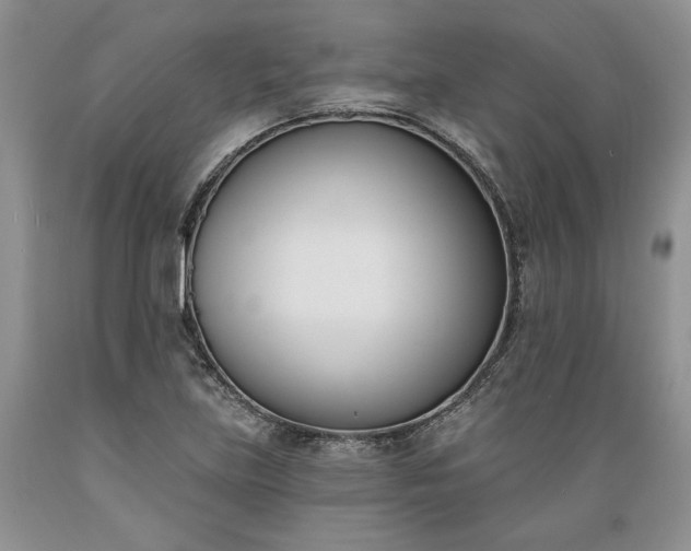 X0000089391219200706221310