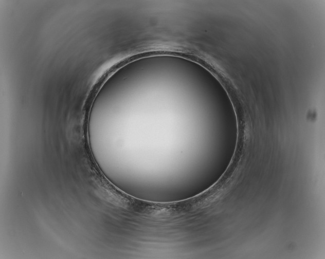 X0000089391222200706221310