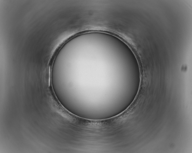 X0000089391223200706221310