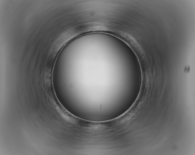 X0000089391225200706221310