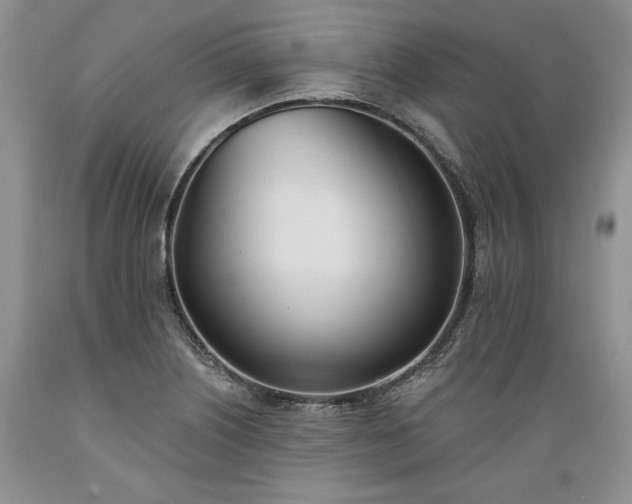 X0000089391226200706221310