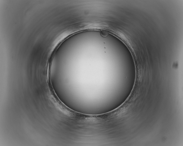 X0000089391227200706221310