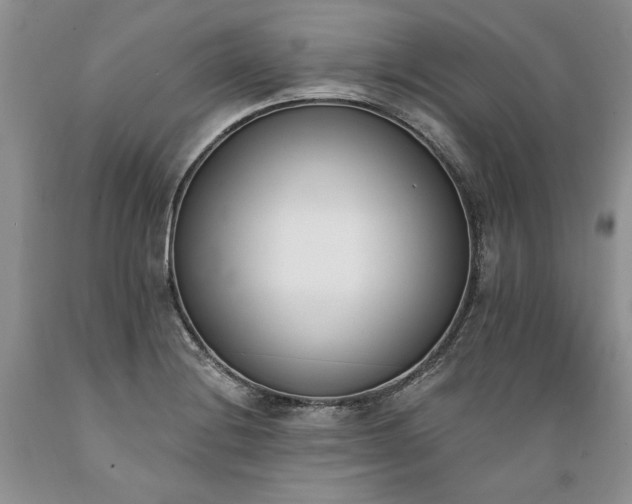 X0000089391228200706221310