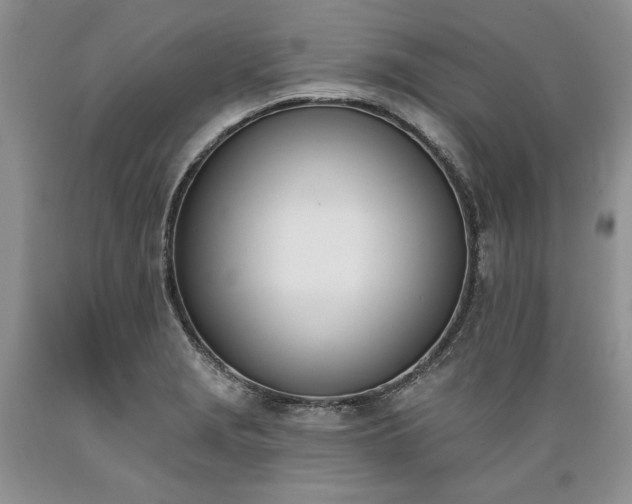 X0000089391229200706221310