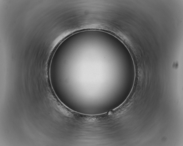 X0000089391230200706221310