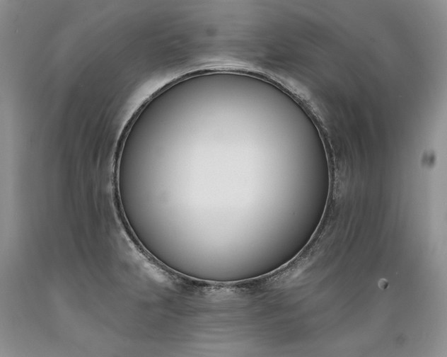 X0000089391231200706221310