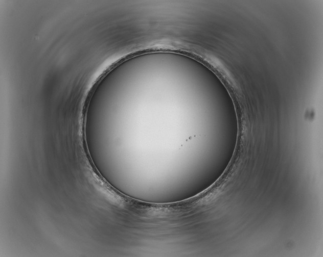 X0000089391232200706221310