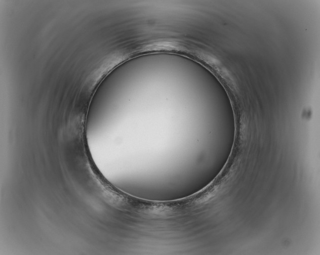 X0000089391233200706221310