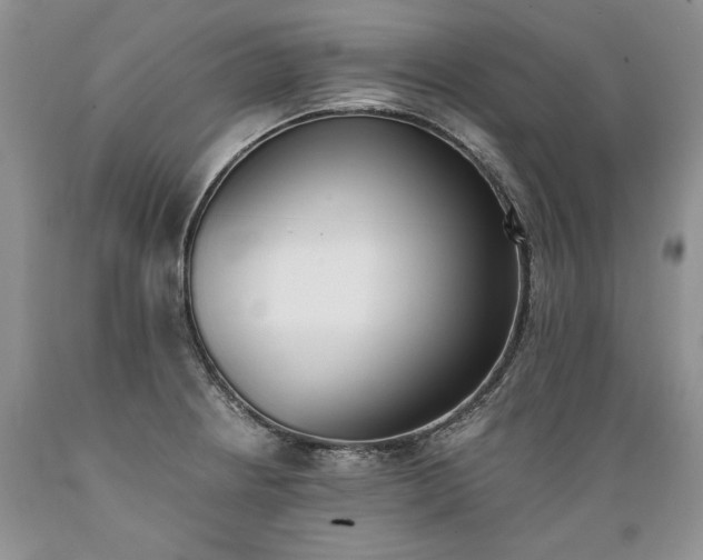 X0000089391234200706221310