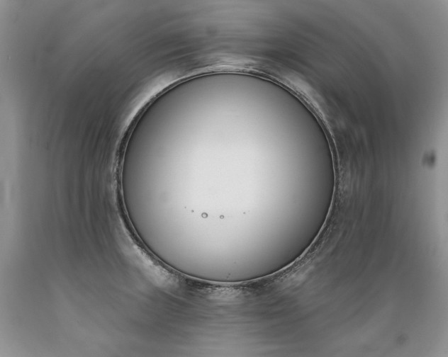 X0000089391235200706221310
