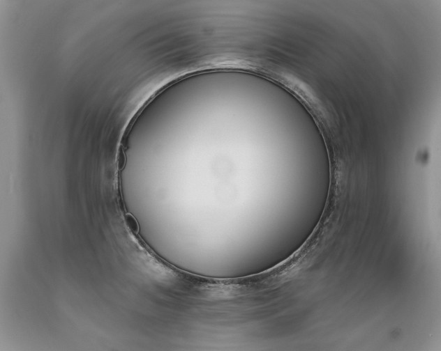 X0000089391236200706221310