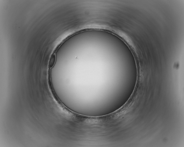 X0000089391237200706221310